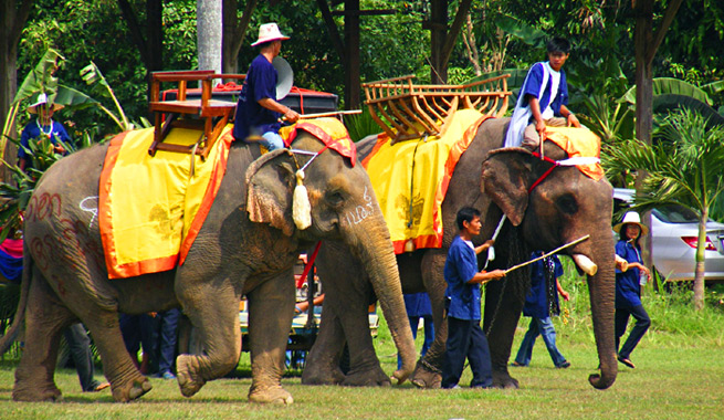 Слоны в Тайланде, кататься на слонах в Тайланде