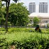Бангкок фотографии туристов. Тайланд фото